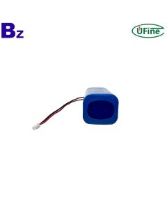 Chinese Professional Lithium-ion Cell Factory