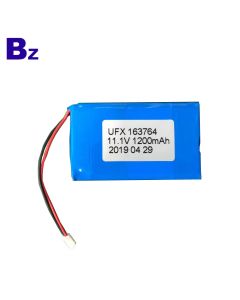 China Hot Sales 1200mAh Li-Polymer Battery 