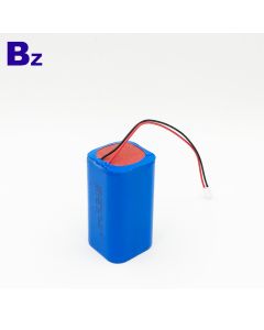 2600mAh High performance Lithium-ion Battery Pack