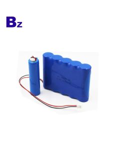 18650 5P 11000mAh 3.7V Lithium Ion Battery