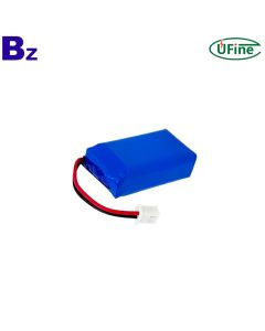 Professional Customize 2C Battery Pack