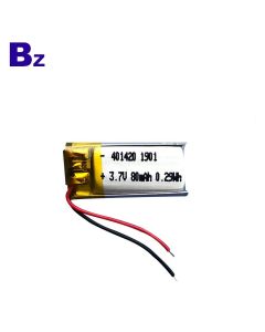 Customized Li-ion Battery