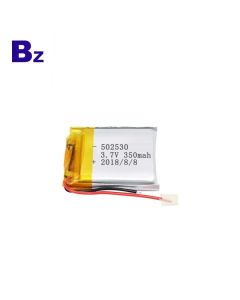 350mAh Battery for Tachograph