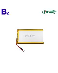 China Best Battery Manufacturer Supply 10000mAh Li-Polymer Battery