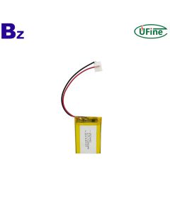 Professional Customized Rechargeable Battery