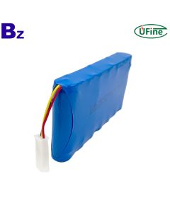 Professional Customized 18650 Rechargeable Battery Pack