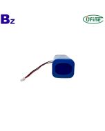 Chinese Professional Lithium-ion Cell Factory