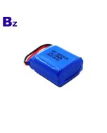 Deep Cycle 700mAh Lithium Polymer Battery