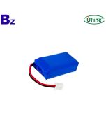 Professional Customize 2C Battery Pack