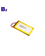 Top Quality 1200mAh Lithium Polymer Battery