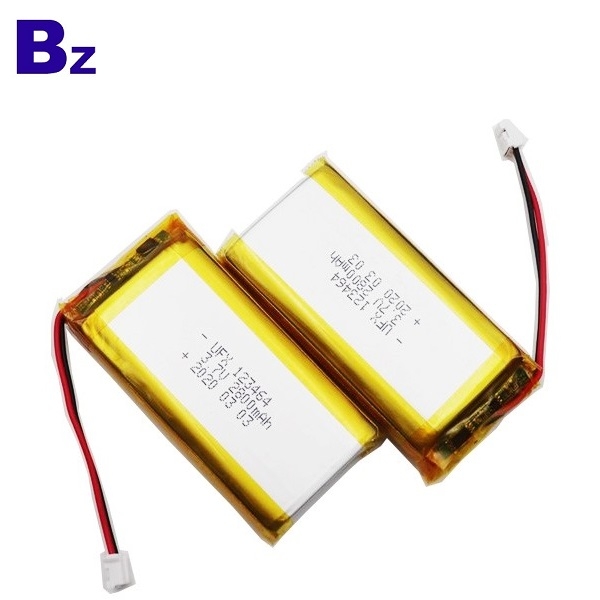 2800mAh 3.7V Li-Polymer Battery