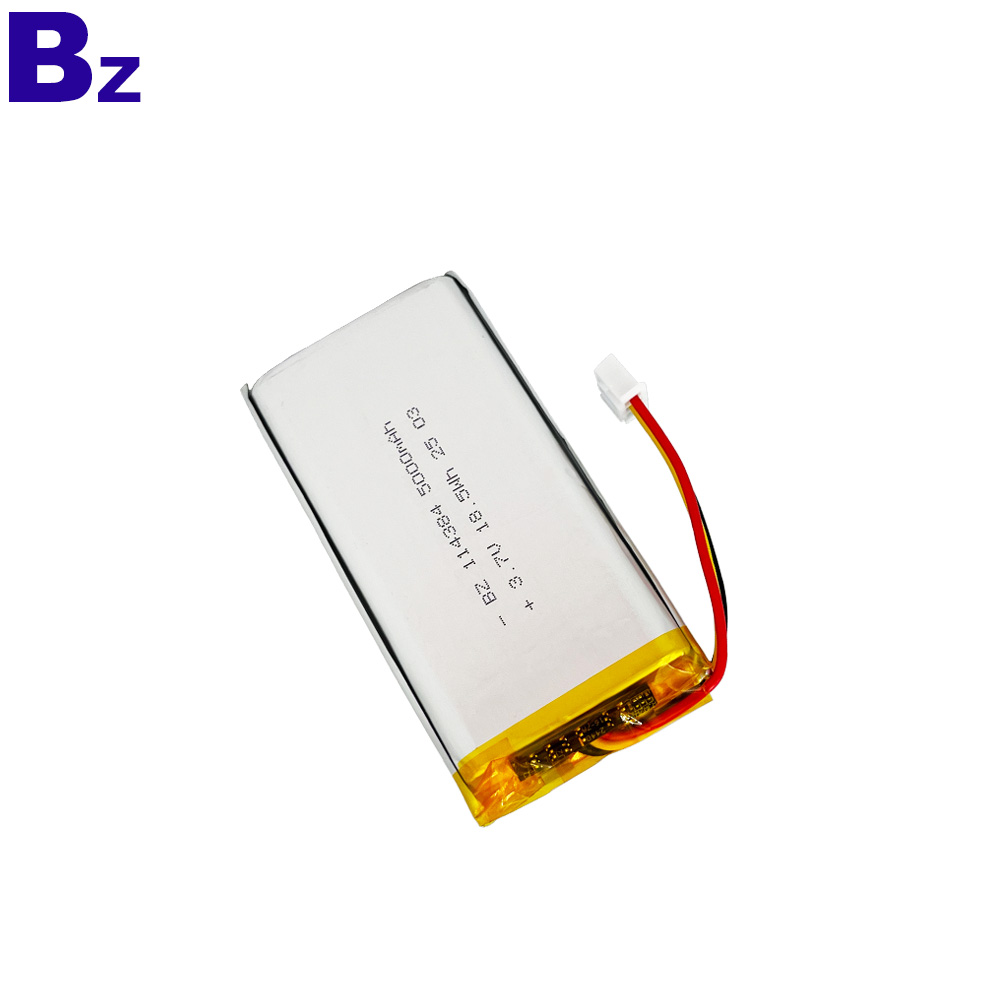 Li-Polymer Battery