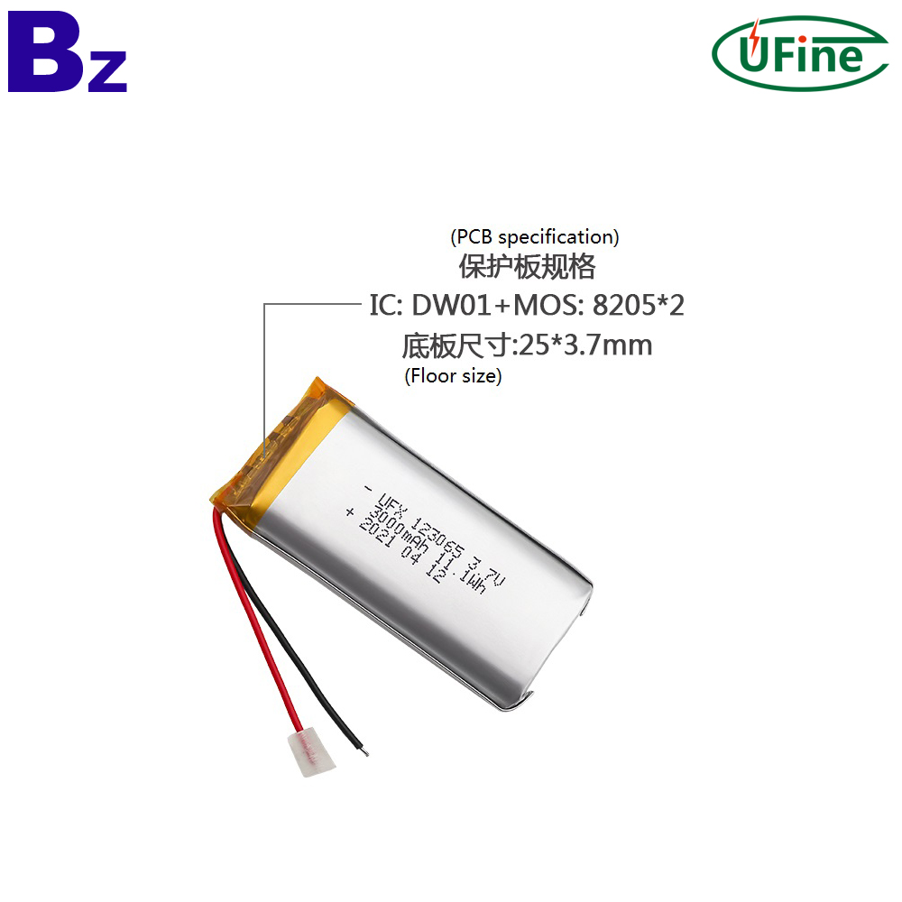 123065_3000mAh_3.7V_lithium_polymer_battery_3