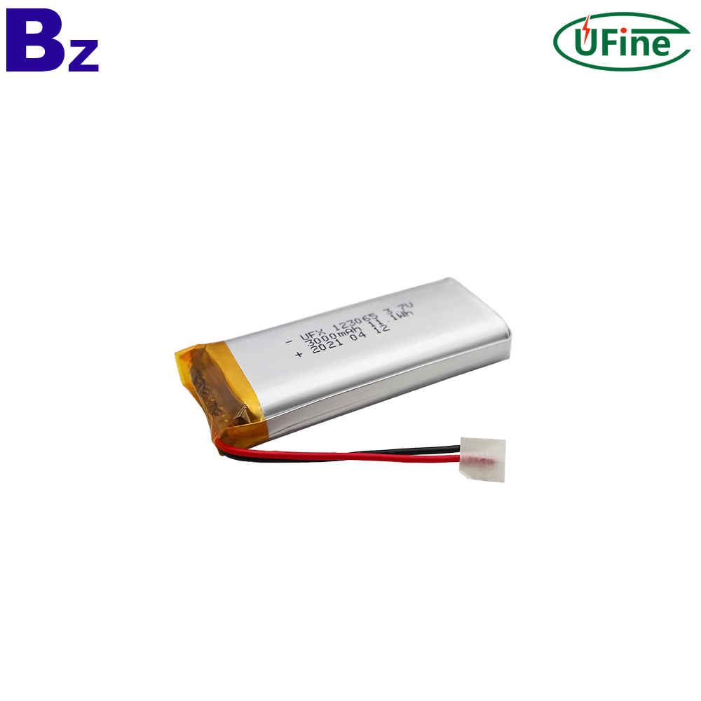 123065_3000mAh_3.7V_lithium_polymer_battery_2