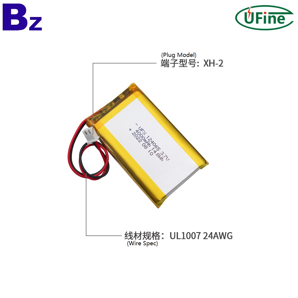 124065_4000mAh_3.7V_Li-polymer_Battery-3-
