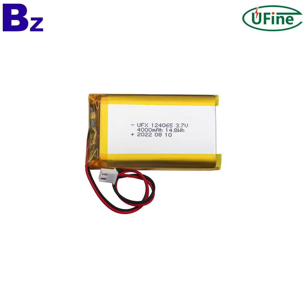 124065_4000mAh_3.7V_Li-polymer_Battery-1-