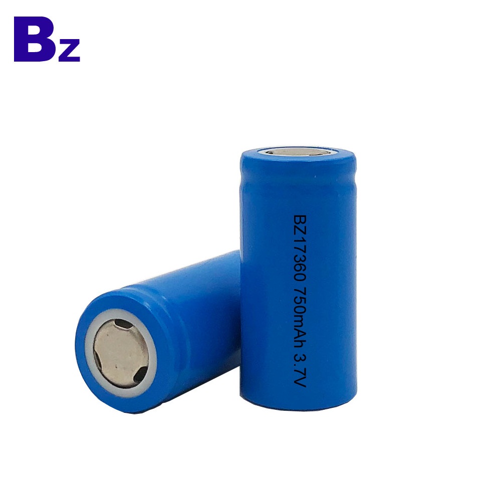 Customized Hot Selling Li-ion Battery 750mAh