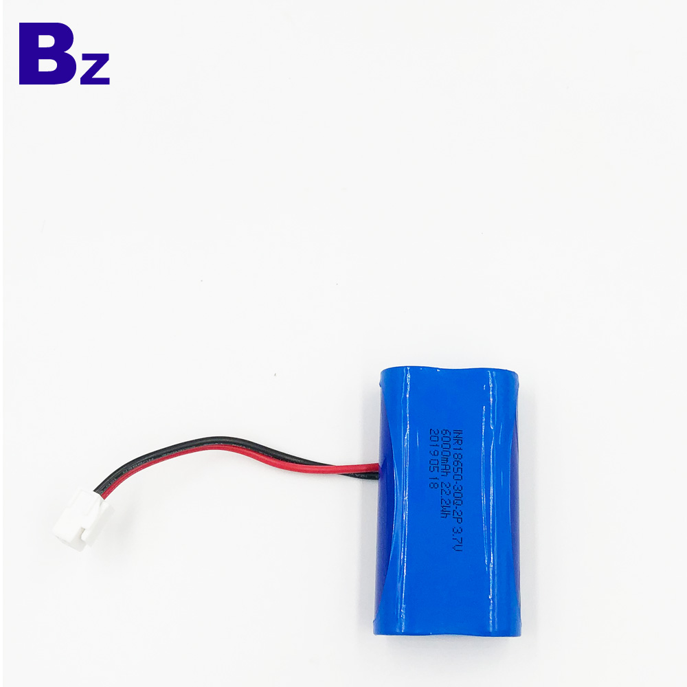 6000mAh Li-Polymer Battery With Wire and Plug