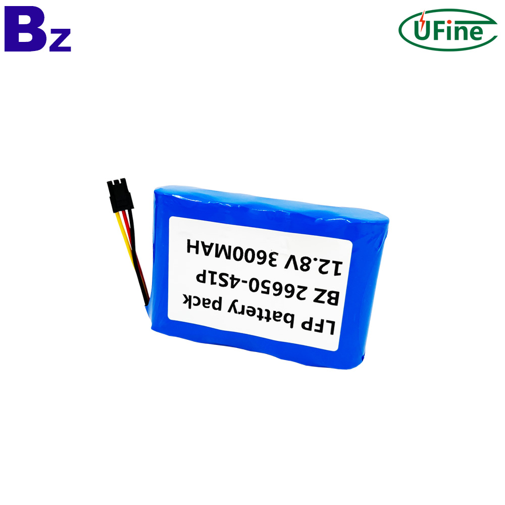 Overcharge & Discharge Protection Battery Pack