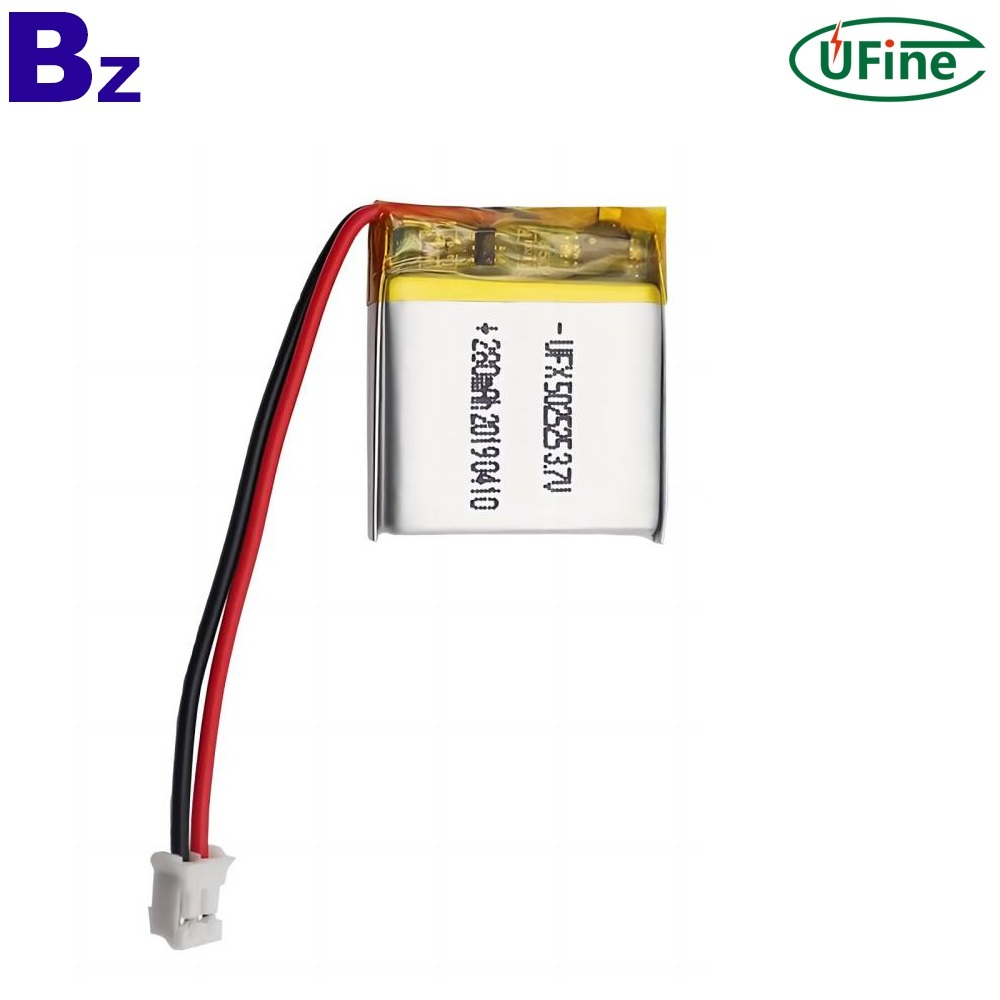 Factory Supply Lithium Ion Battery