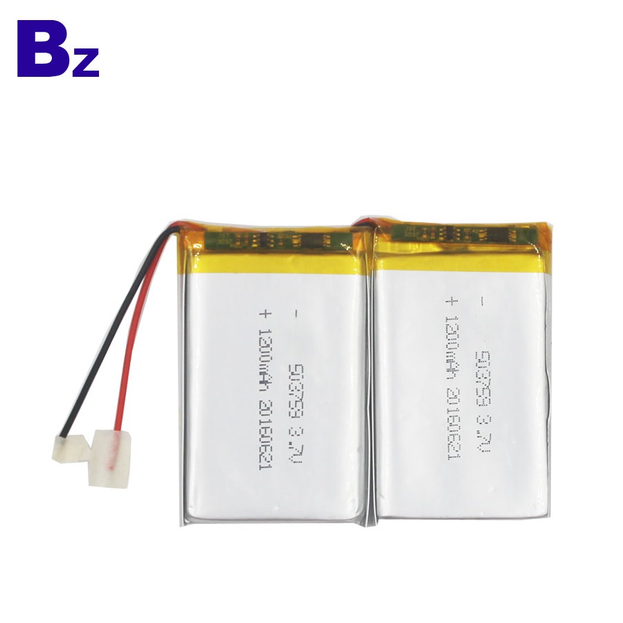 1200mAh Rechargeable LiPo Battery