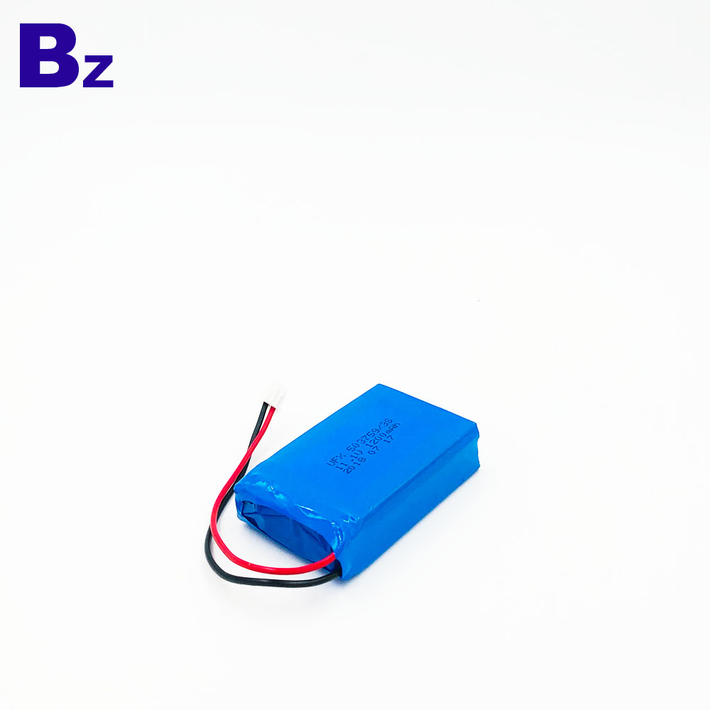Chinese Lithium Battery Factory Customized Battery