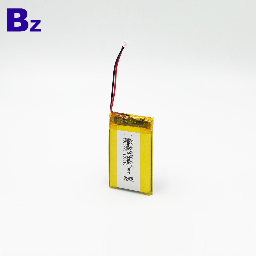 3.7V Lithium Polymer Battery