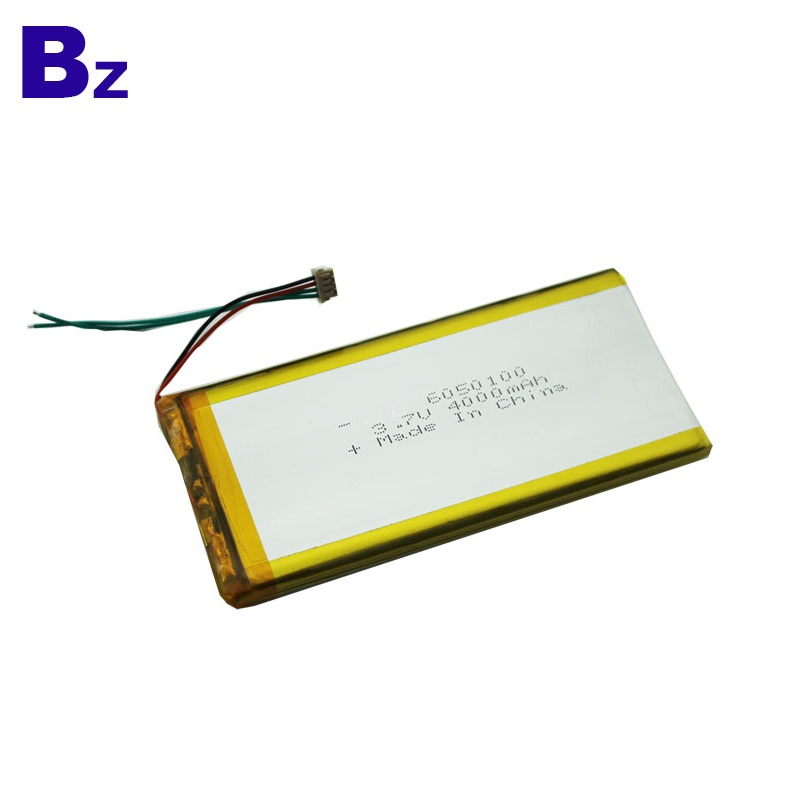 High Quality Rechargeable Batteries 4000mAh