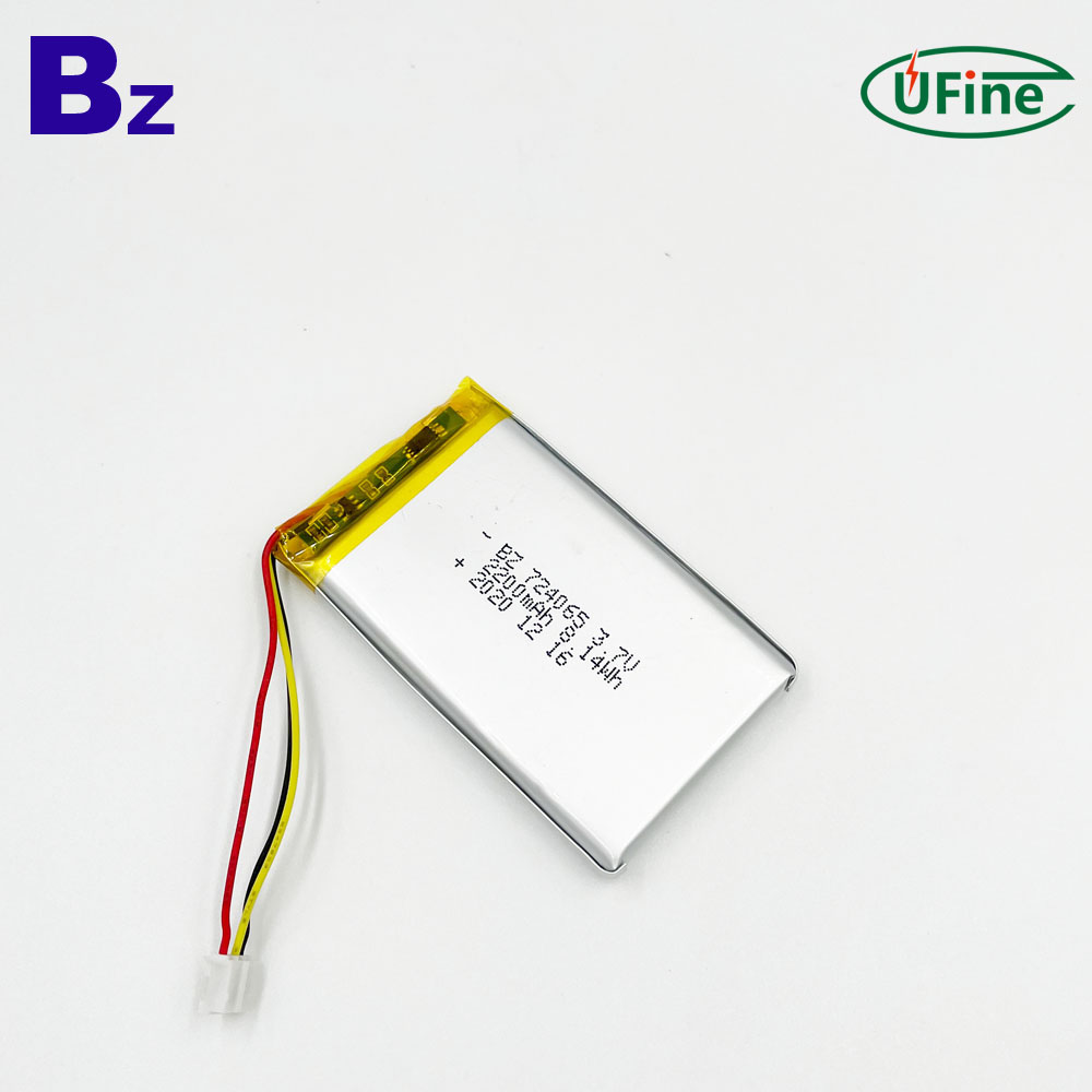 724065_2200mAh_3.7V_lithium_polymer_battery_2_