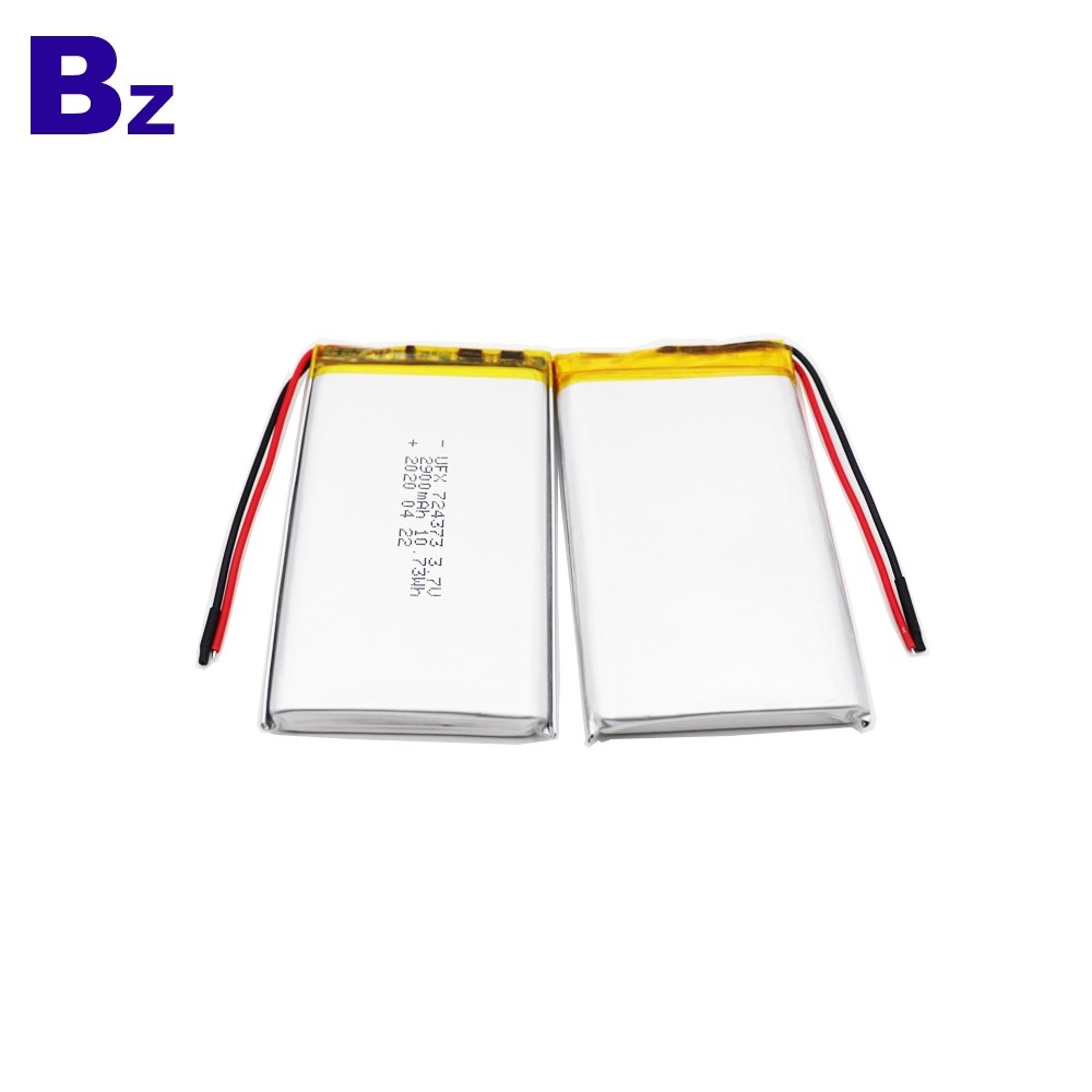 724373_2900mAh_3.7V_Lithium_Polymer_Battery_2_